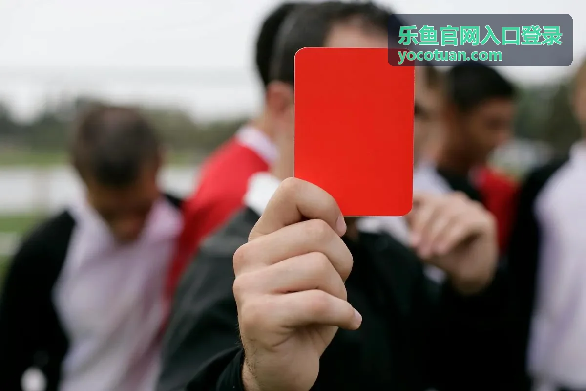 乐鱼官网入口登录安全中心界面展示